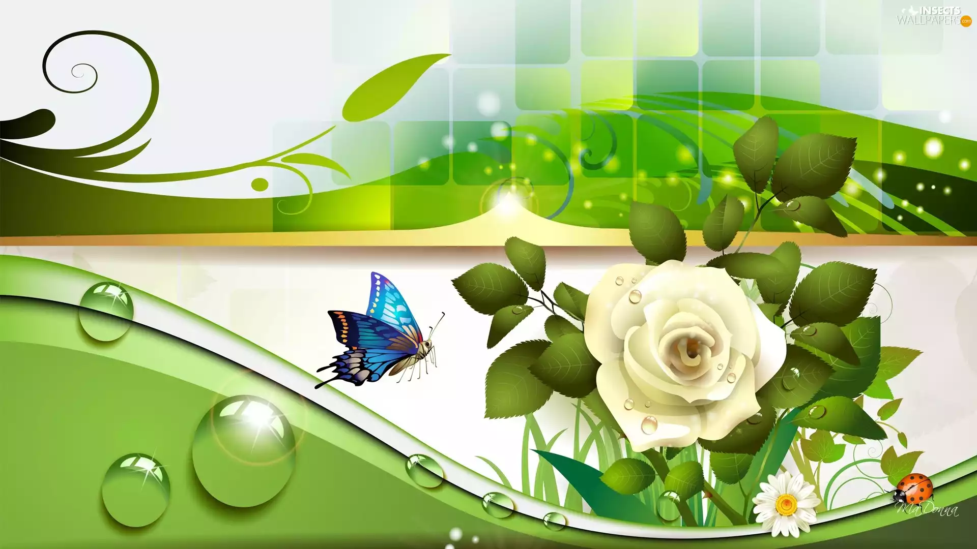 blue, White, graphics, Computer, butterfly, rose