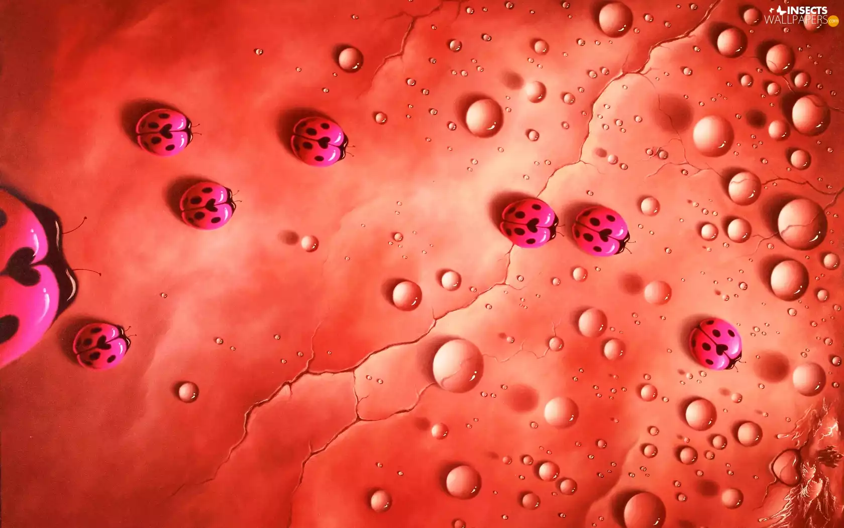 drops, ladybugs, dots