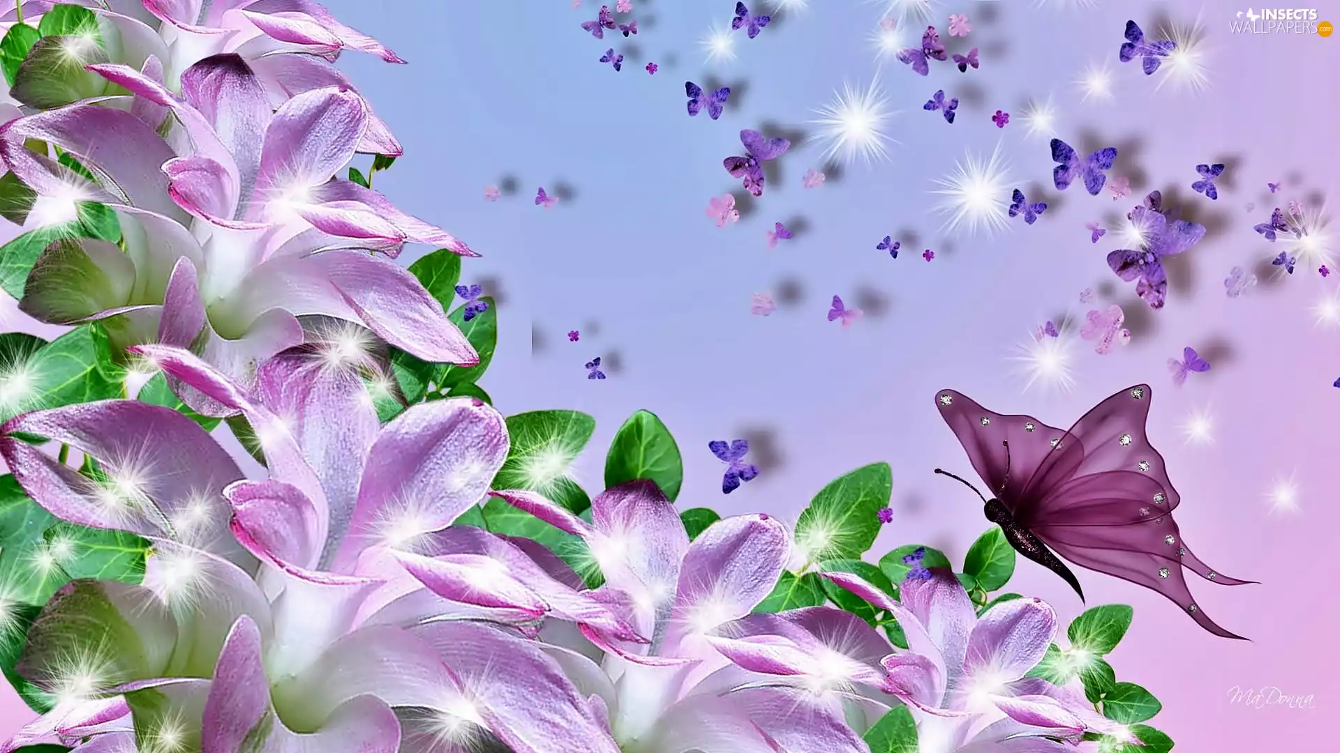 Flowers, butterflies