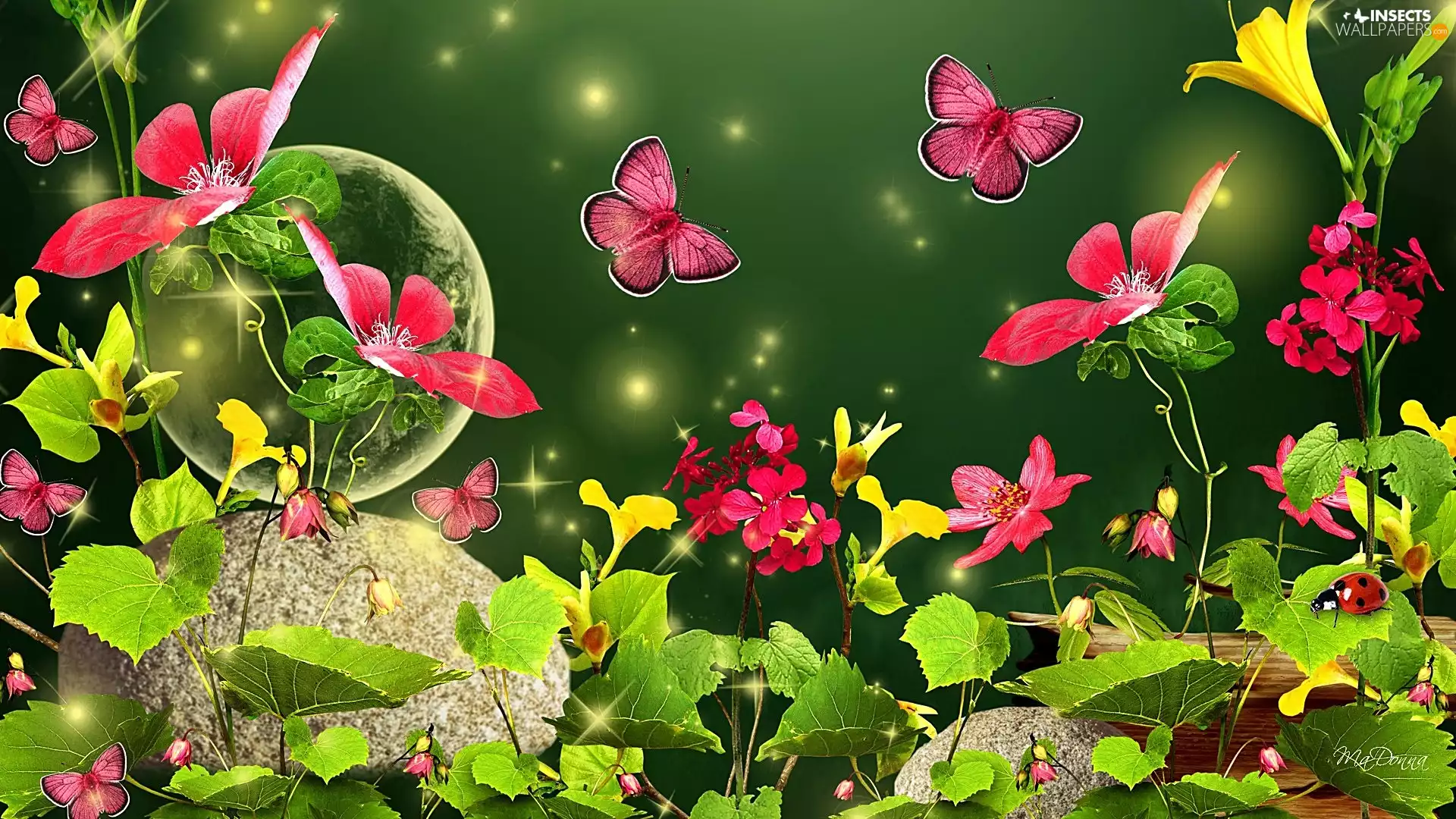 color, butterflies, Art, Flowers