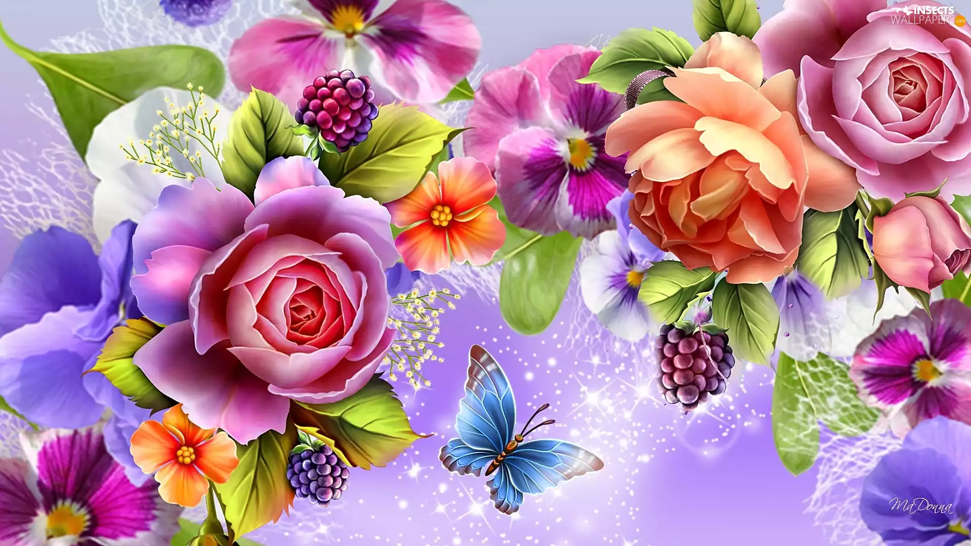 color, butterfly, Art, Flowers