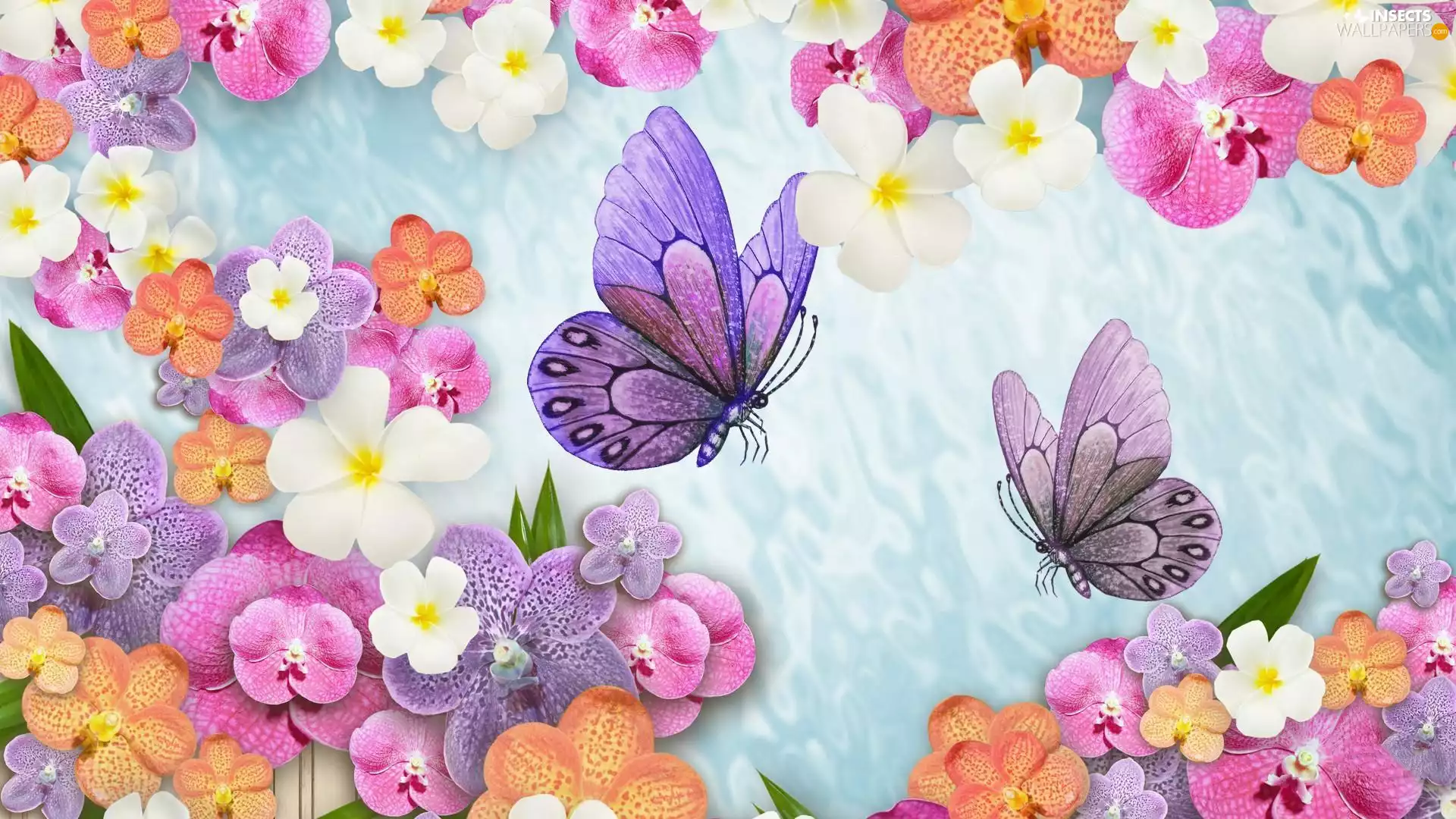 Two cars, butterflies, Flowers, orchids, graphics
