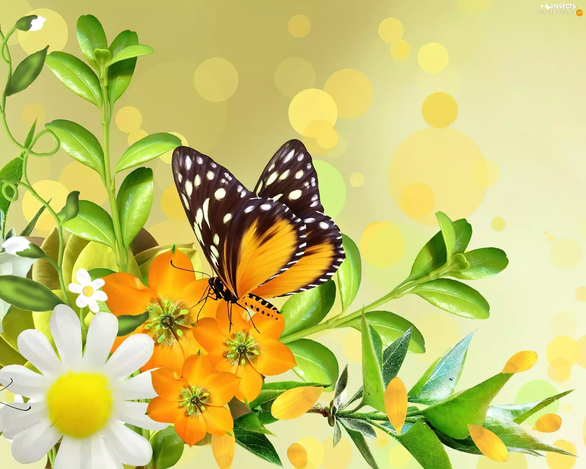 Yellow, butterfly, Art, Flowers