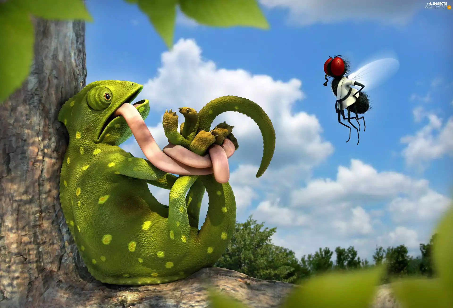 fly, embarrassed, Cameleon