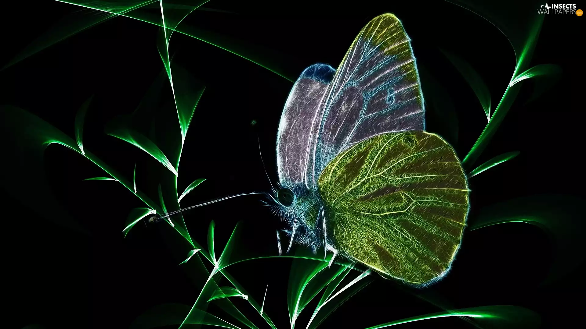 background, Fractalius, grass, Black, butterfly