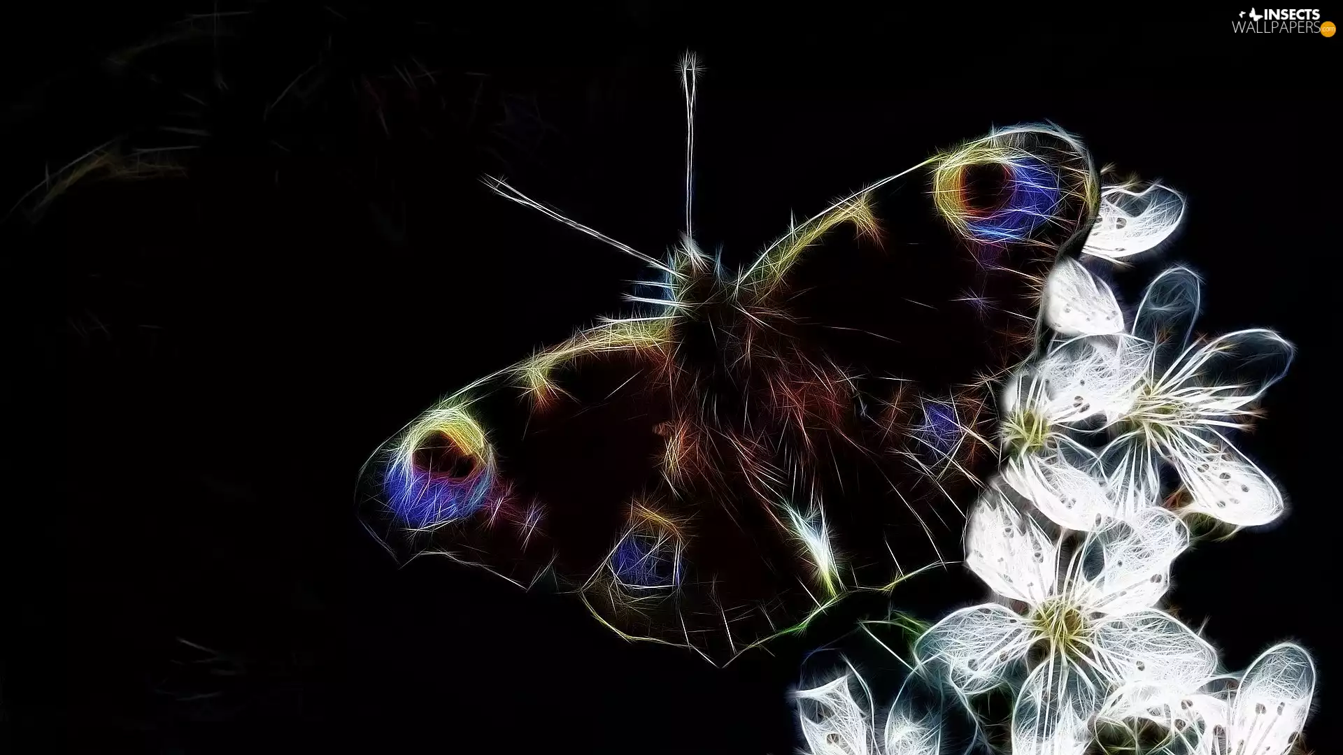 Flowers, butterfly, background, Fractalius, Black, White