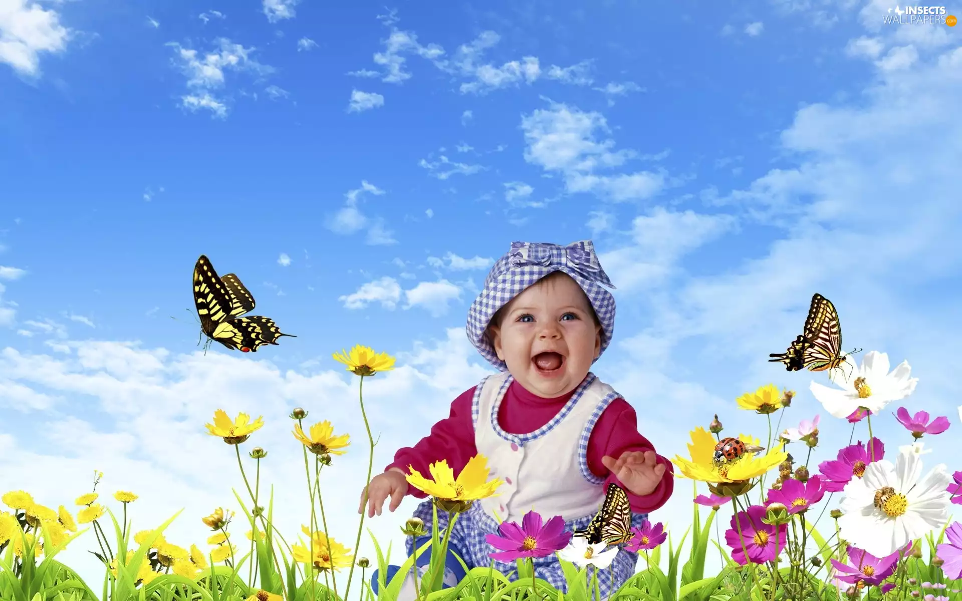 small, Meadow, butterflies, girl