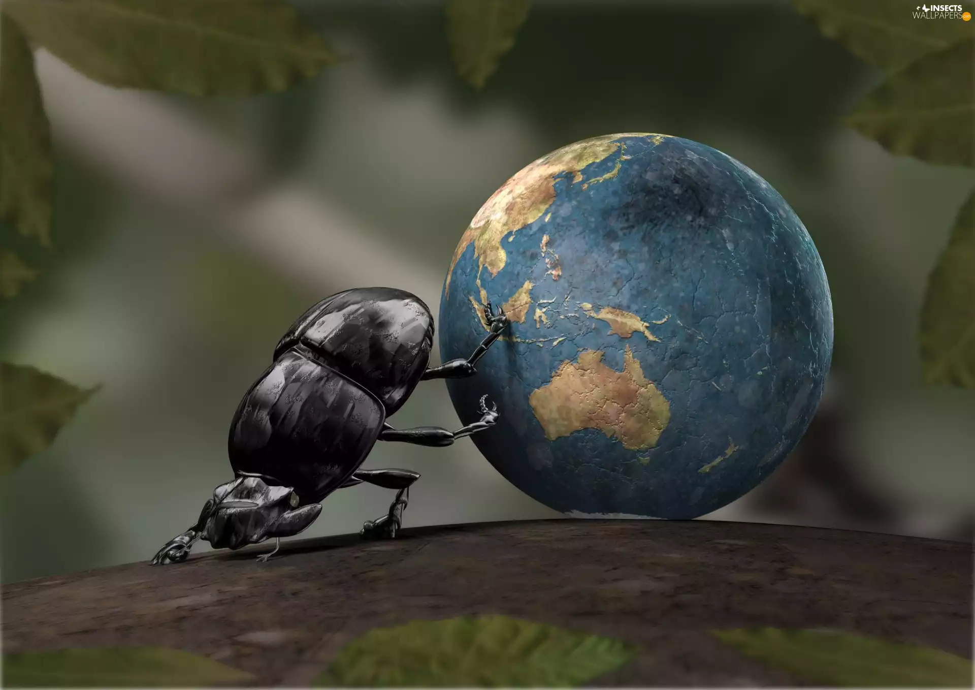 beetle, Orb, earth, Gnojak