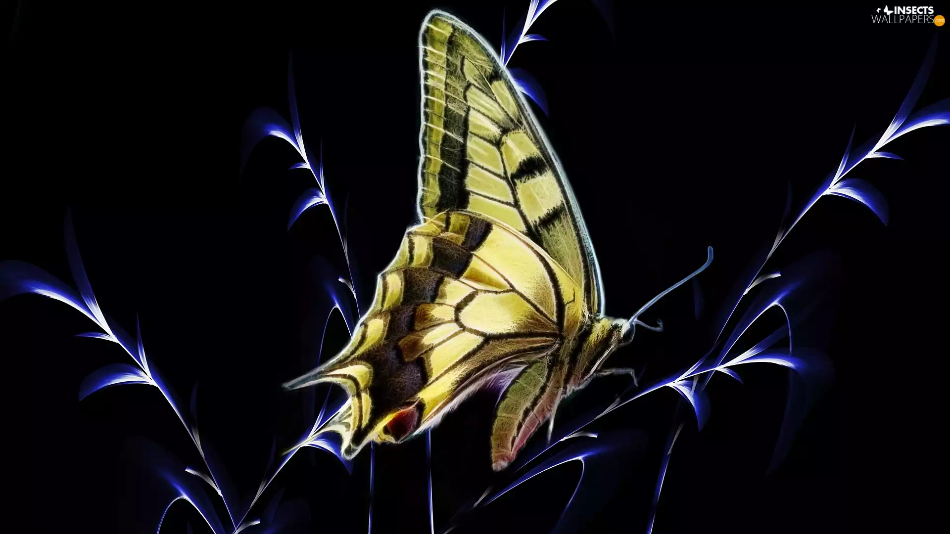 grass, butterfly, background, graphics, Black, Oct Queen