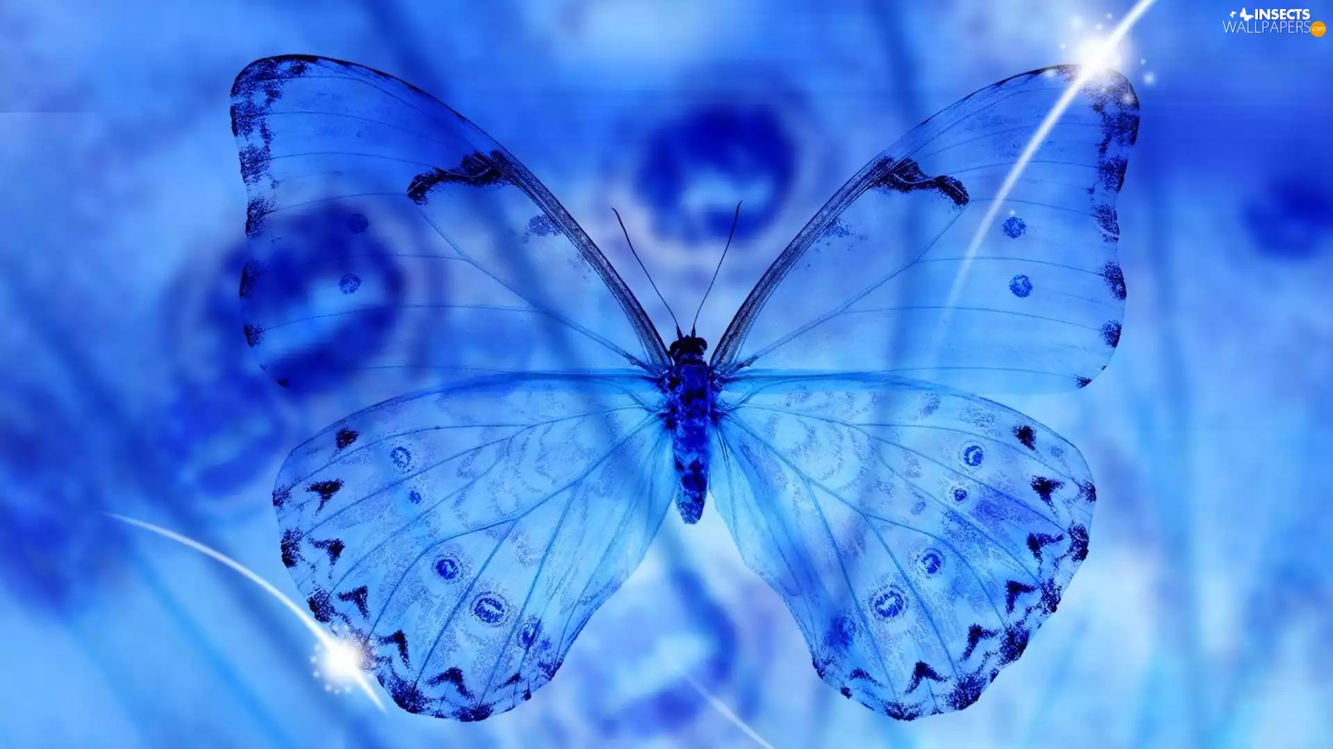 graphics, butterfly, background