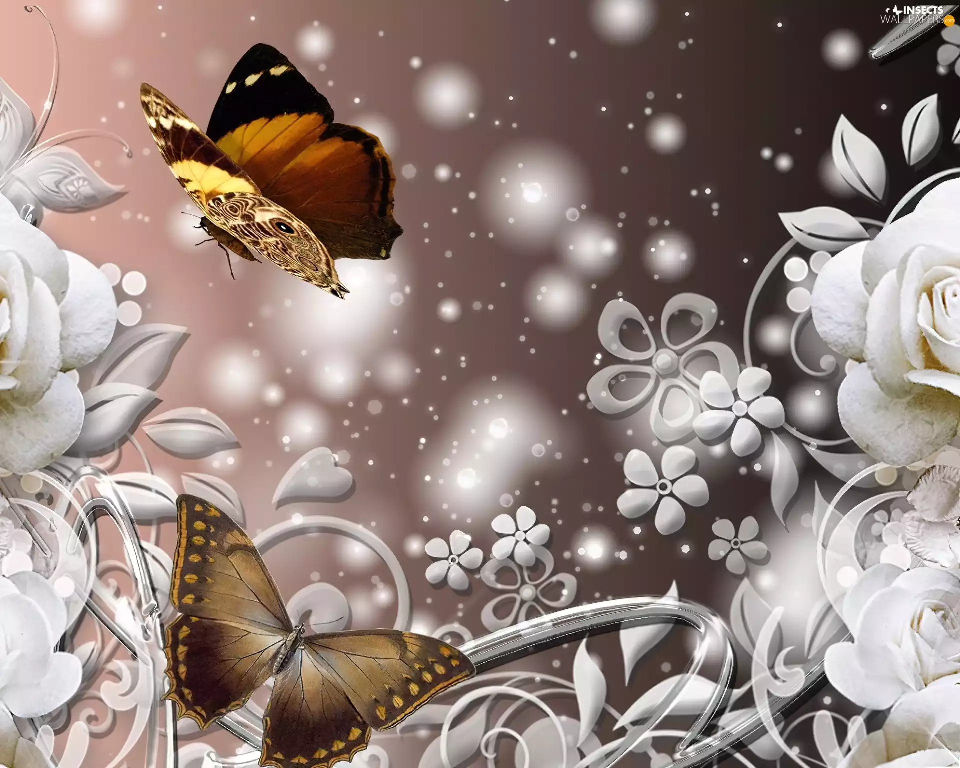 graphics, Flowers, butterflies