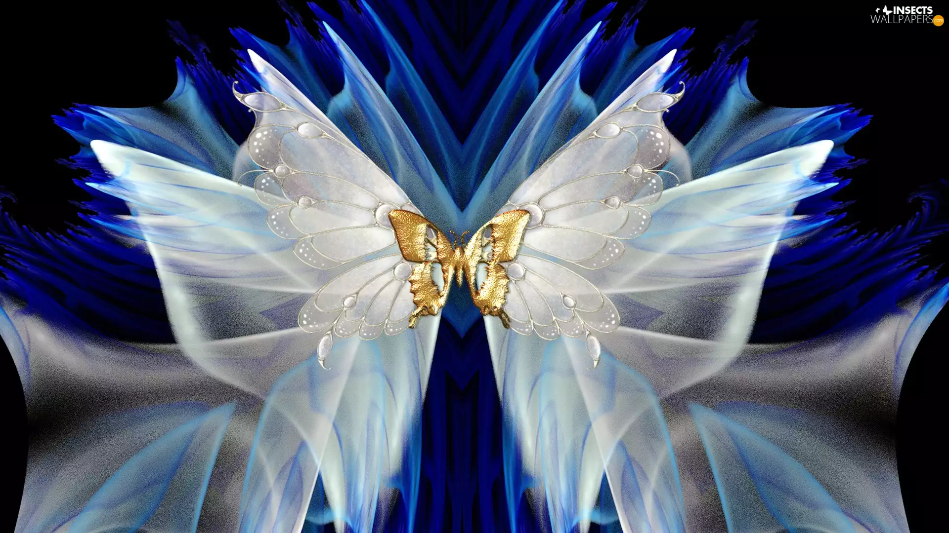 graphics, Golden, butterfly