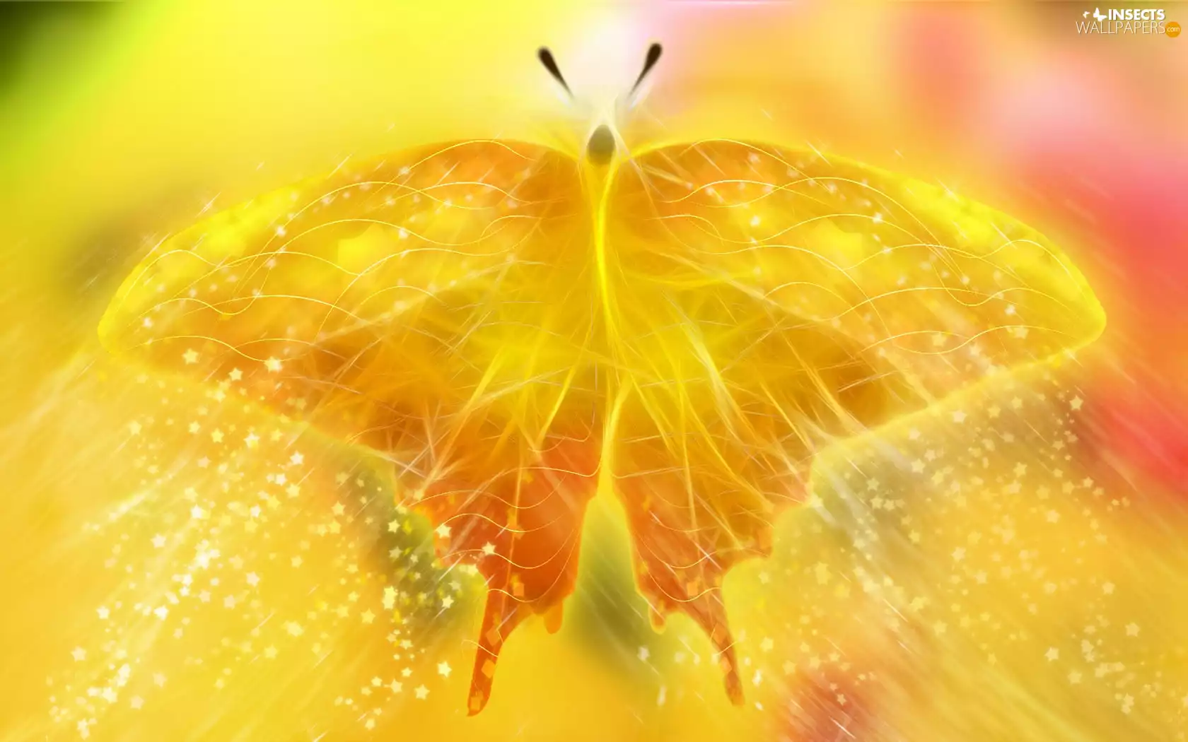 graphics, Yellow, butterfly