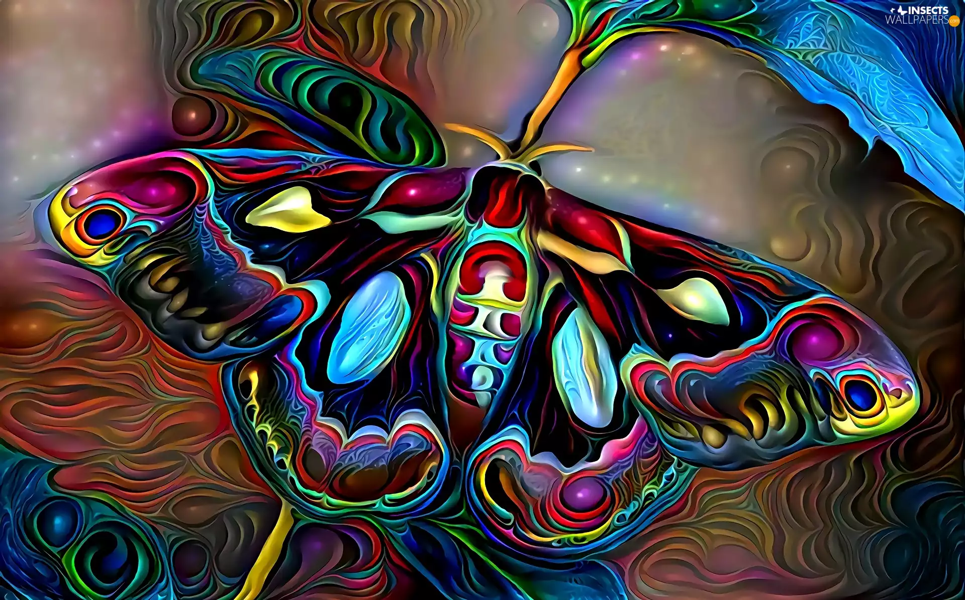 graphics, butterfly
