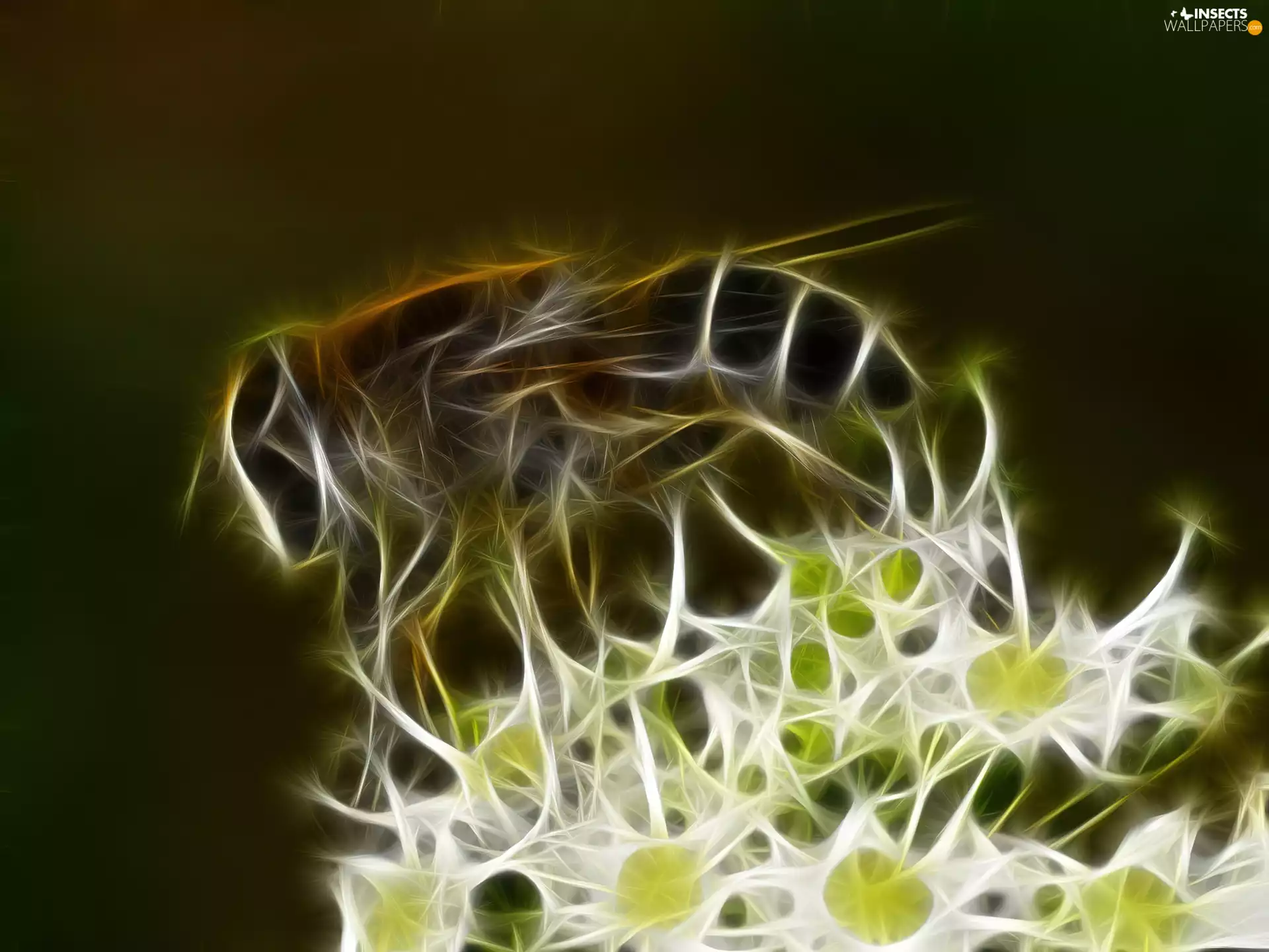 graphics, bee, Flowers