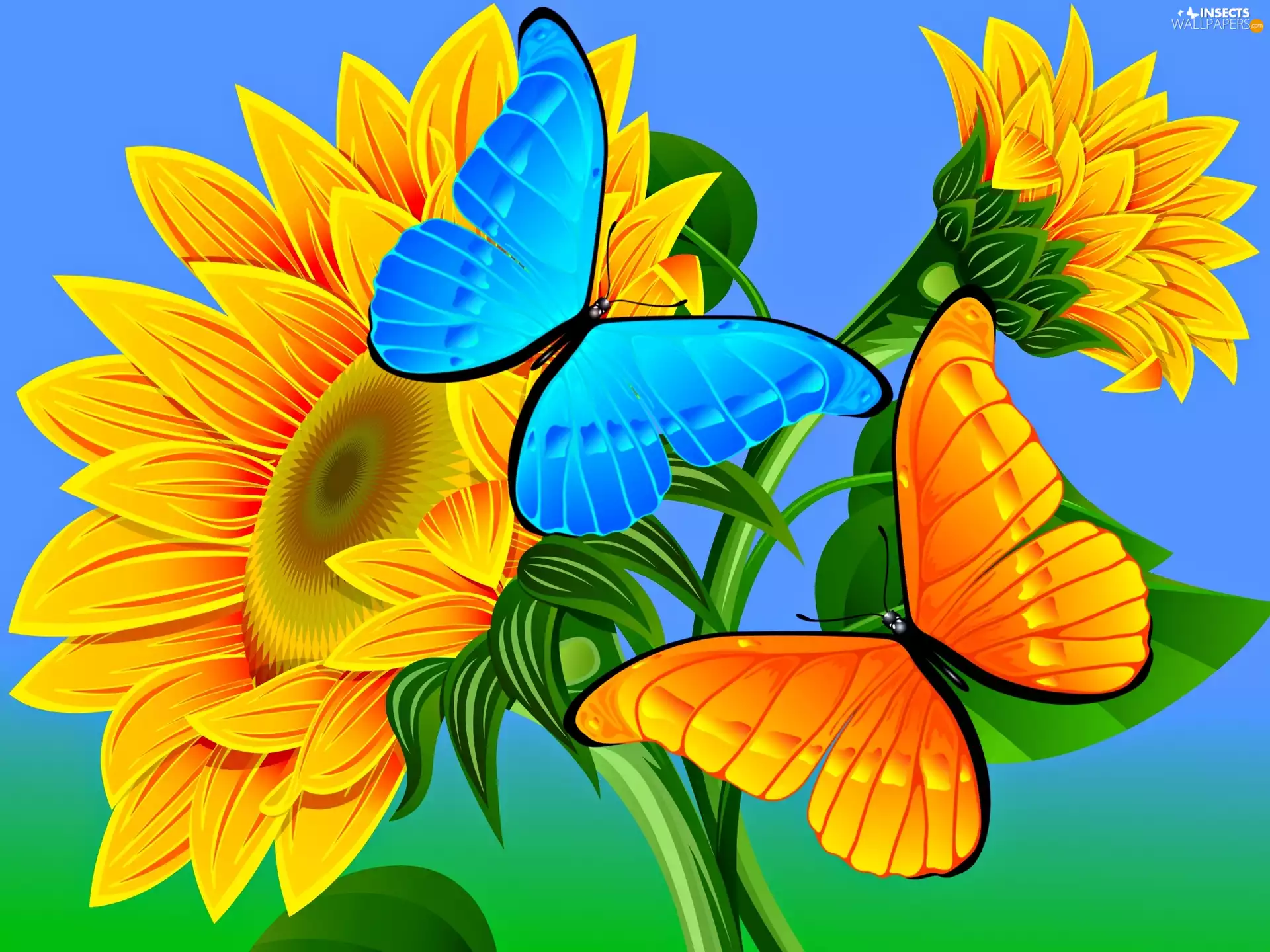 2D Graphics, Nice sunflowers, butterflies