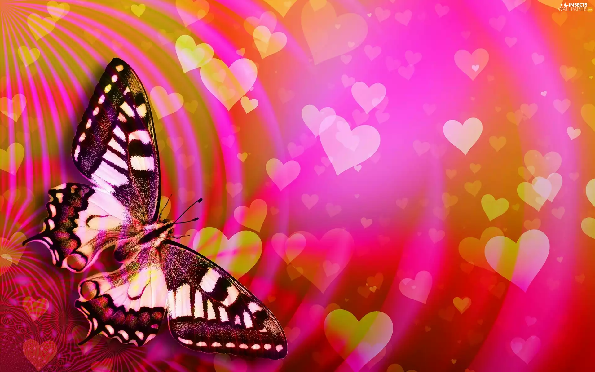 butterfly, hearts, graphics, Oct Queen