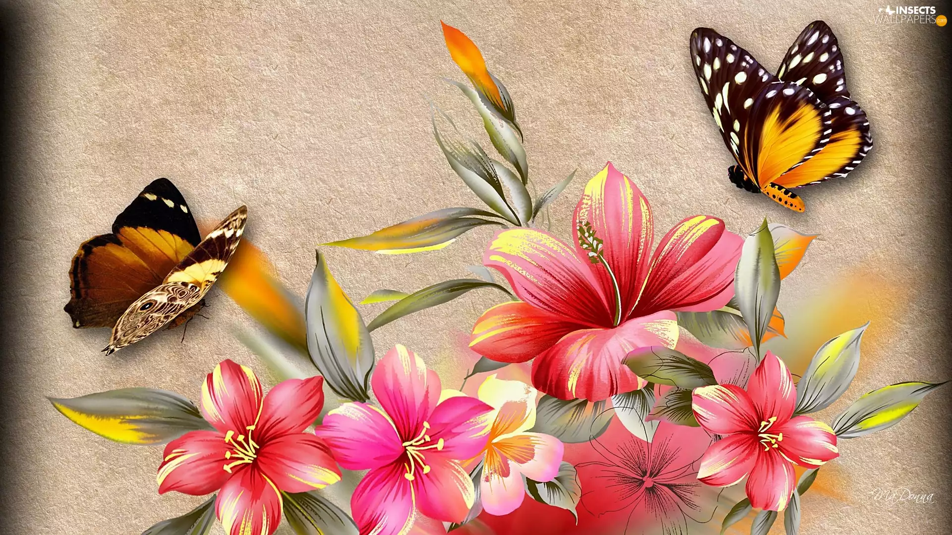 Pink, butterflies, Art, hibiskus