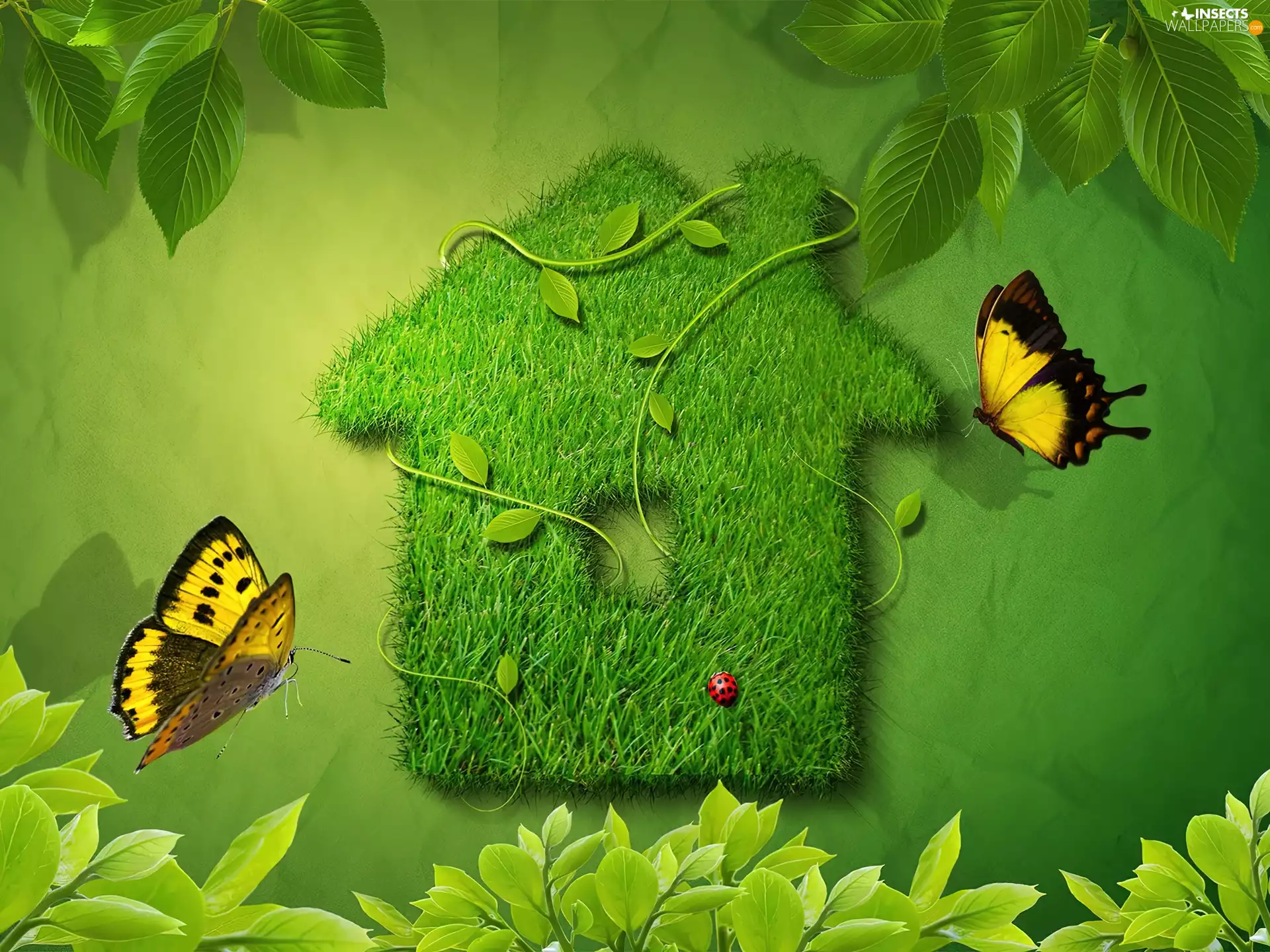 Green, grass, butterflies, Home