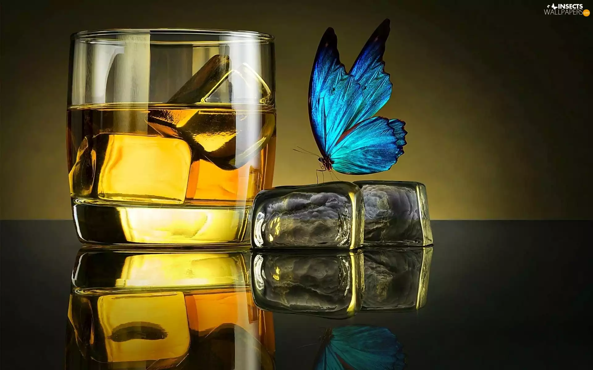 Drink, blue, butterfly, Icecream