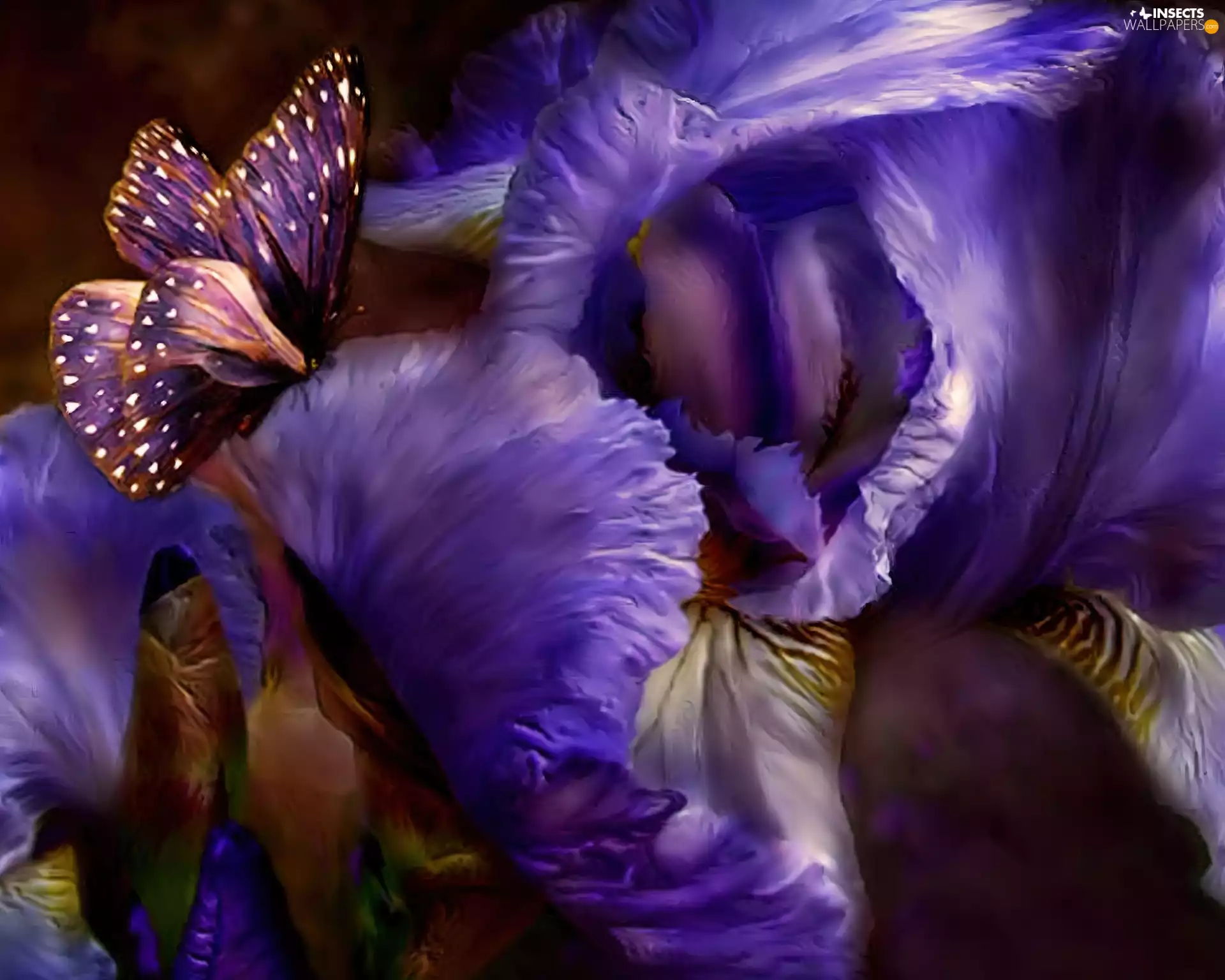 Irises, Violet, butterfly