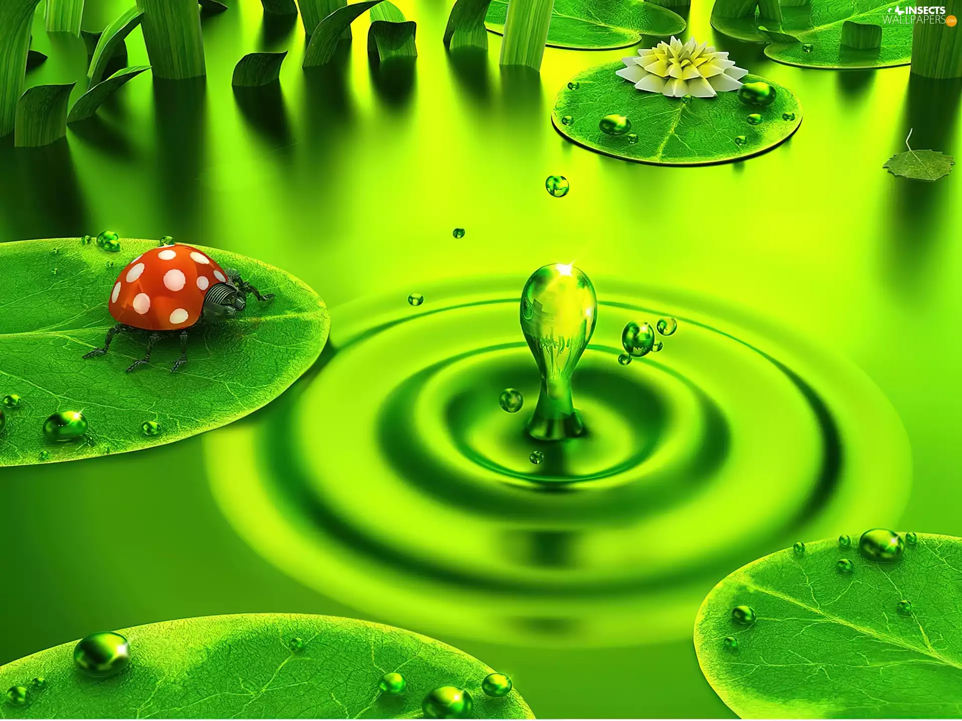 Clockwork, drop, pond, ladybird