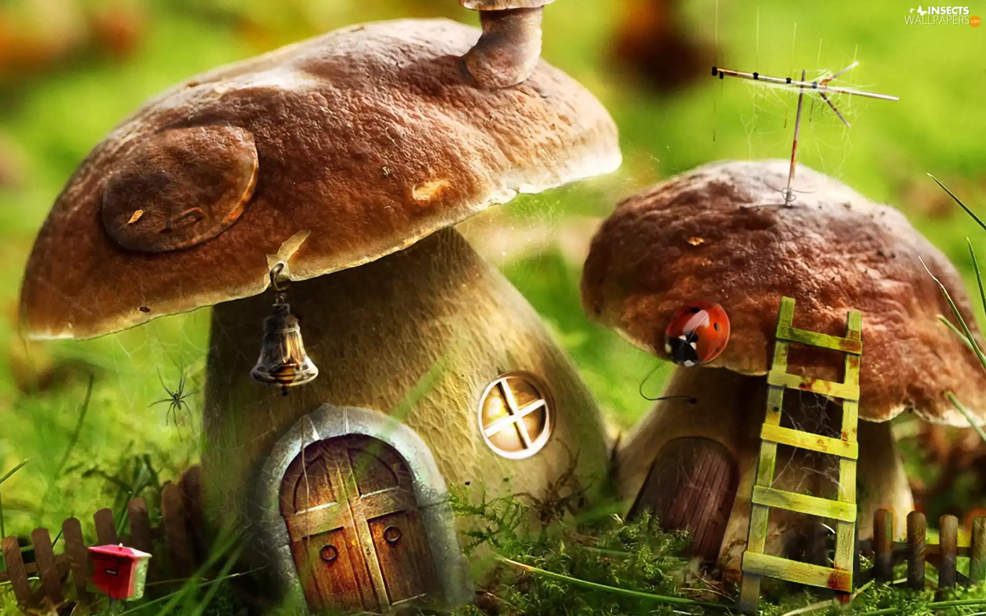 ladybird, mushroom, Houses