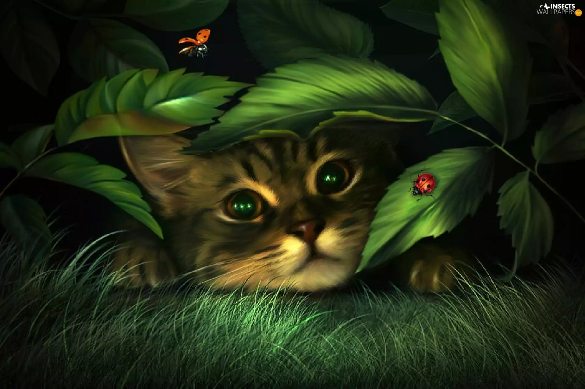 Leaf, cat, ladybugs