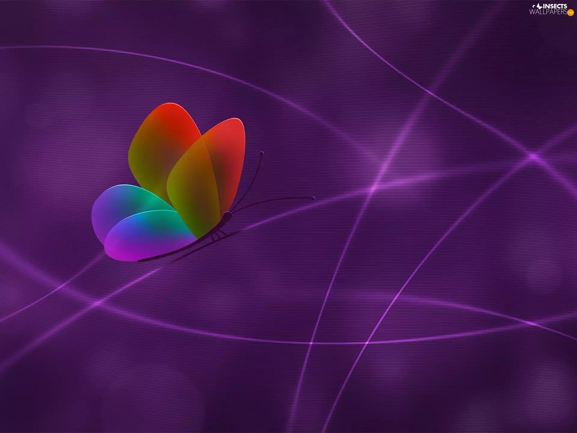 light, butterfly, streaks