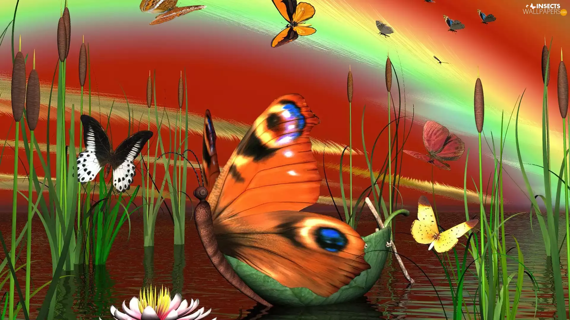 butterflies, water, Art, Mallets