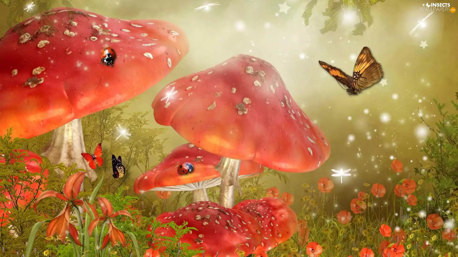 Meadow, butterflies, ladybugs, mushrooms
