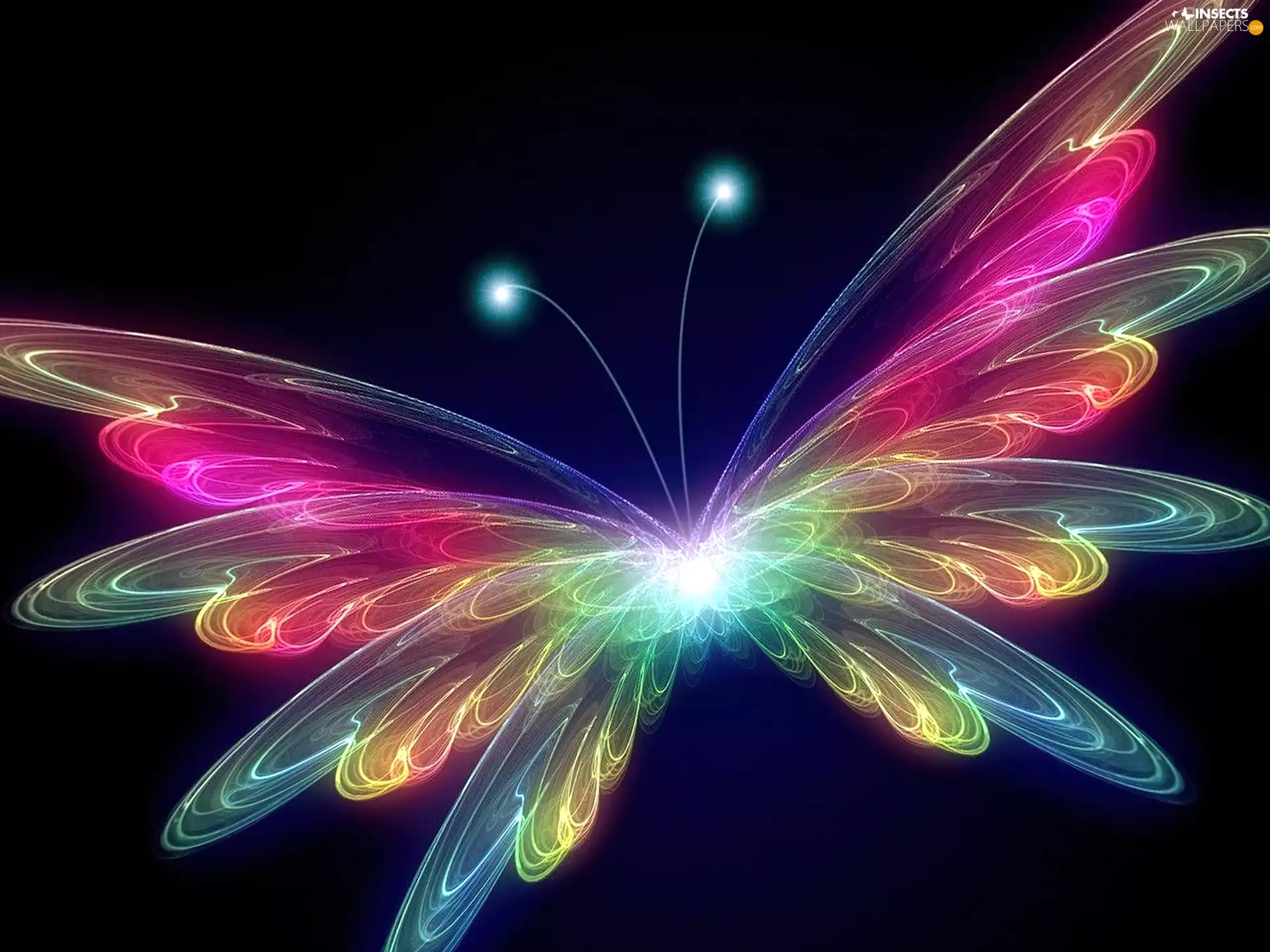 sun, butterfly, luminosity, Neon, flash, ligh