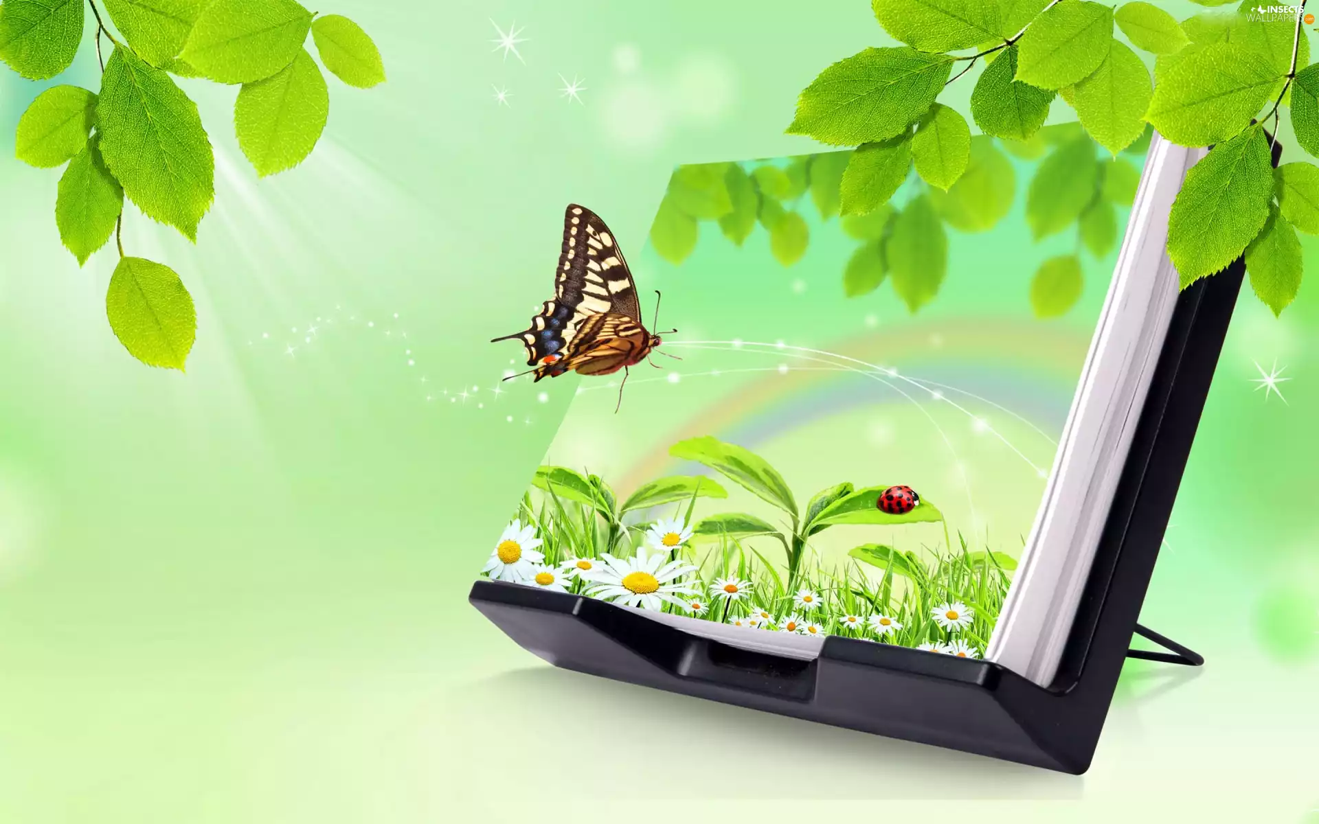 background, butterfly, green ones