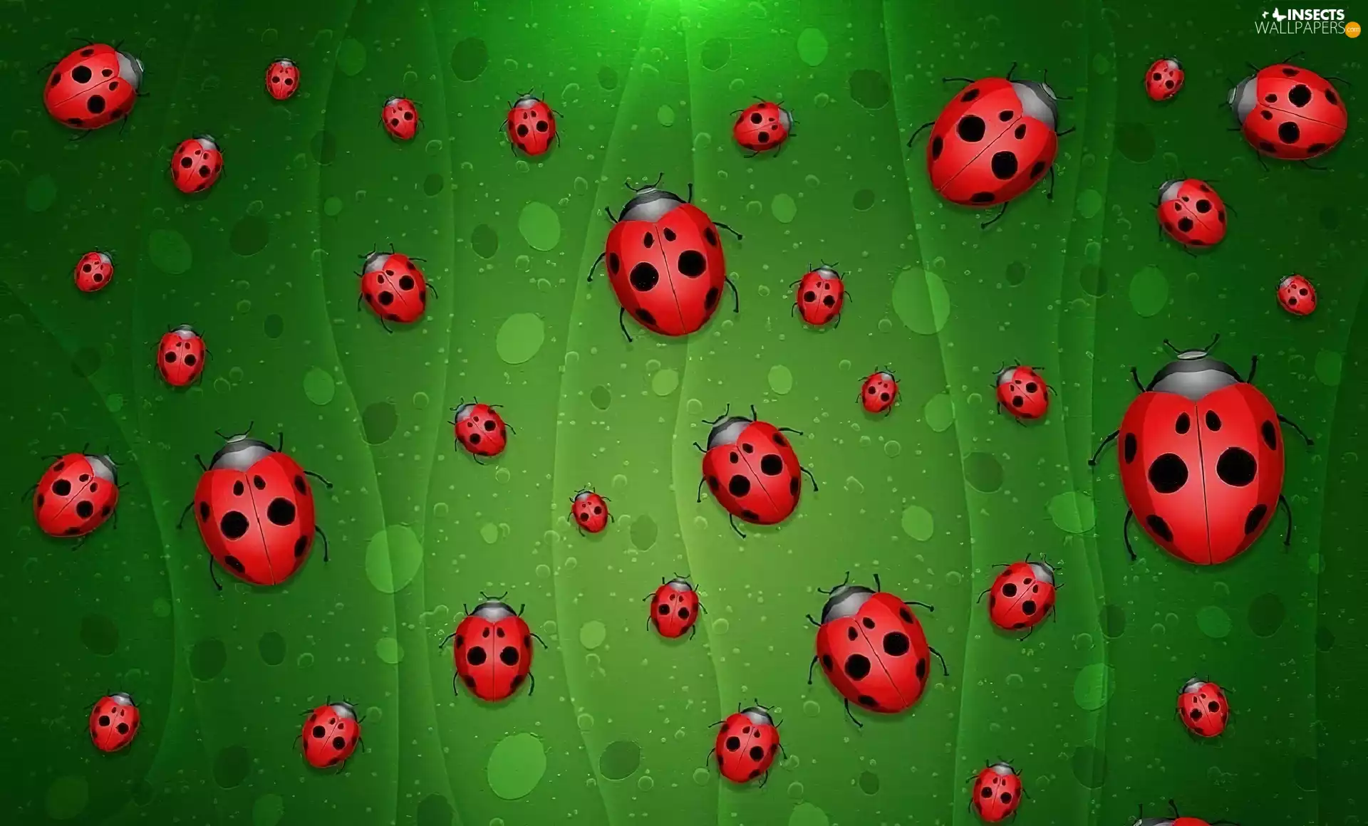 background, ladybugs, green ones