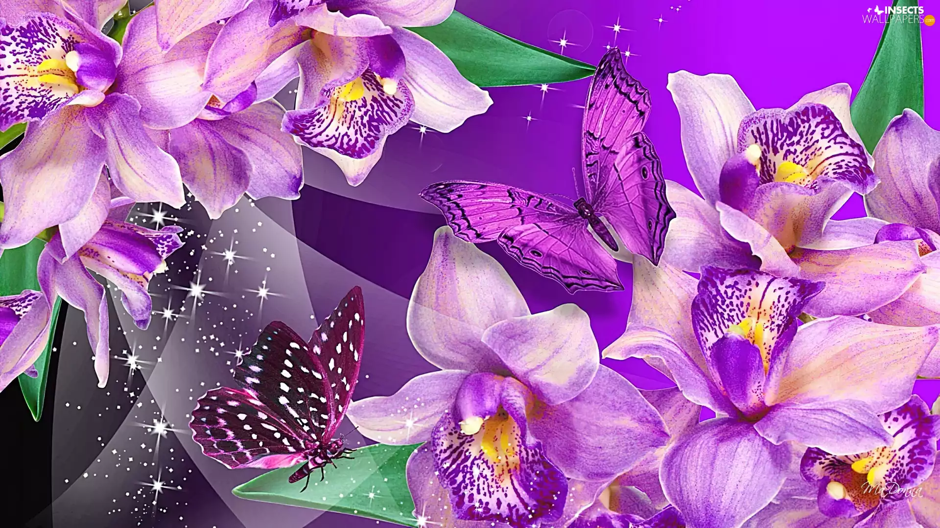 purple, butterflies, Art, orchids