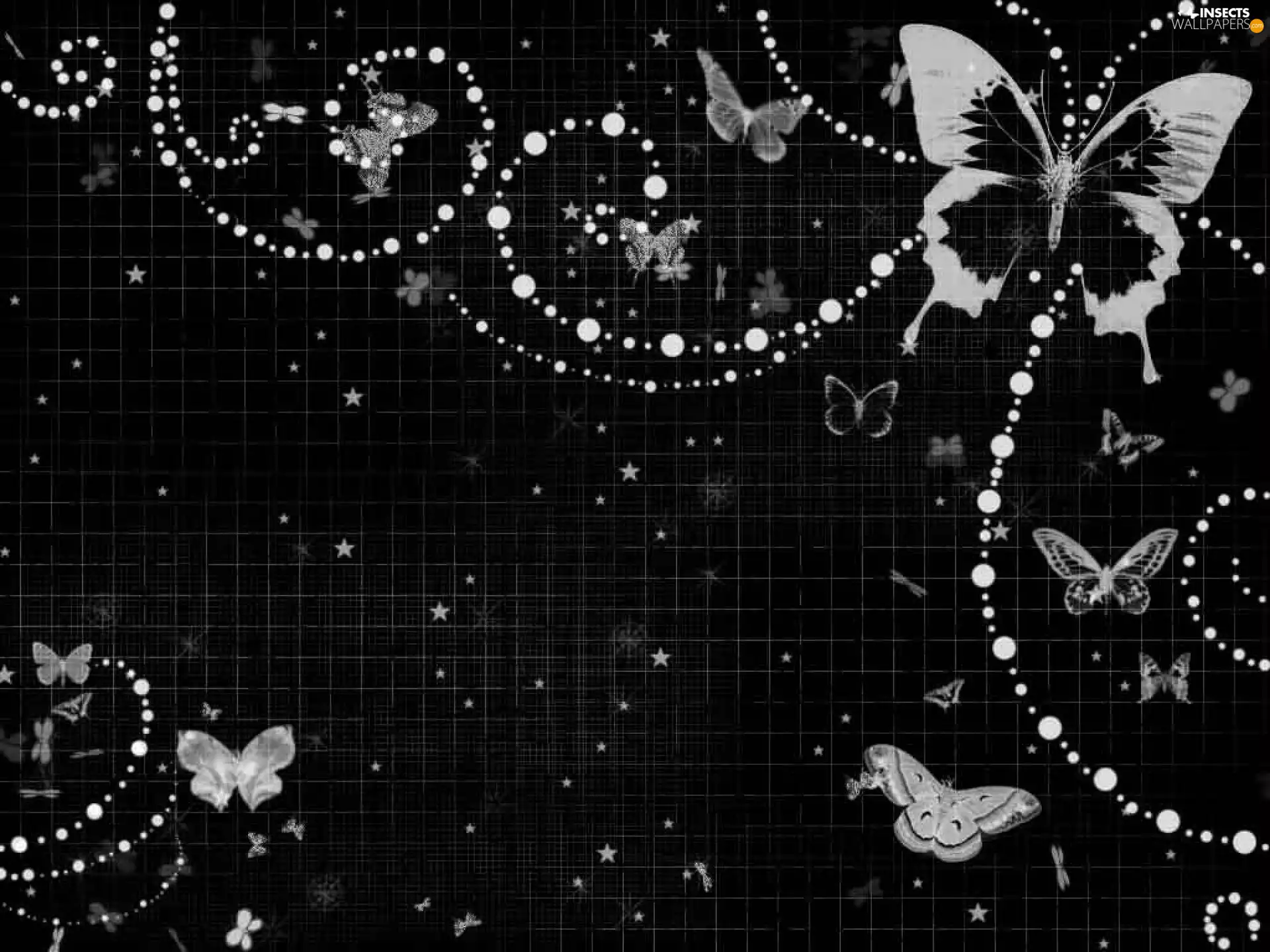 butterflies, Black, background, Pane