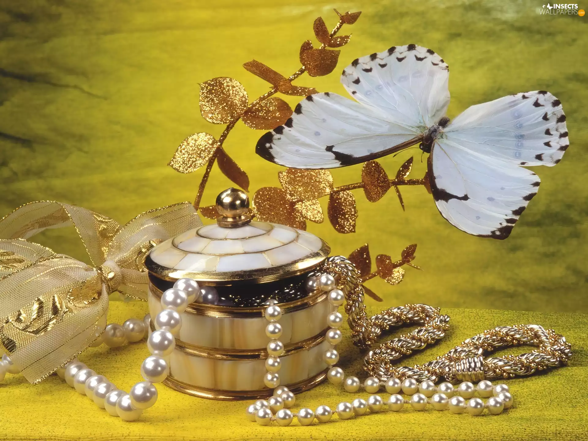 casket, Gold, butterfly, Pearl