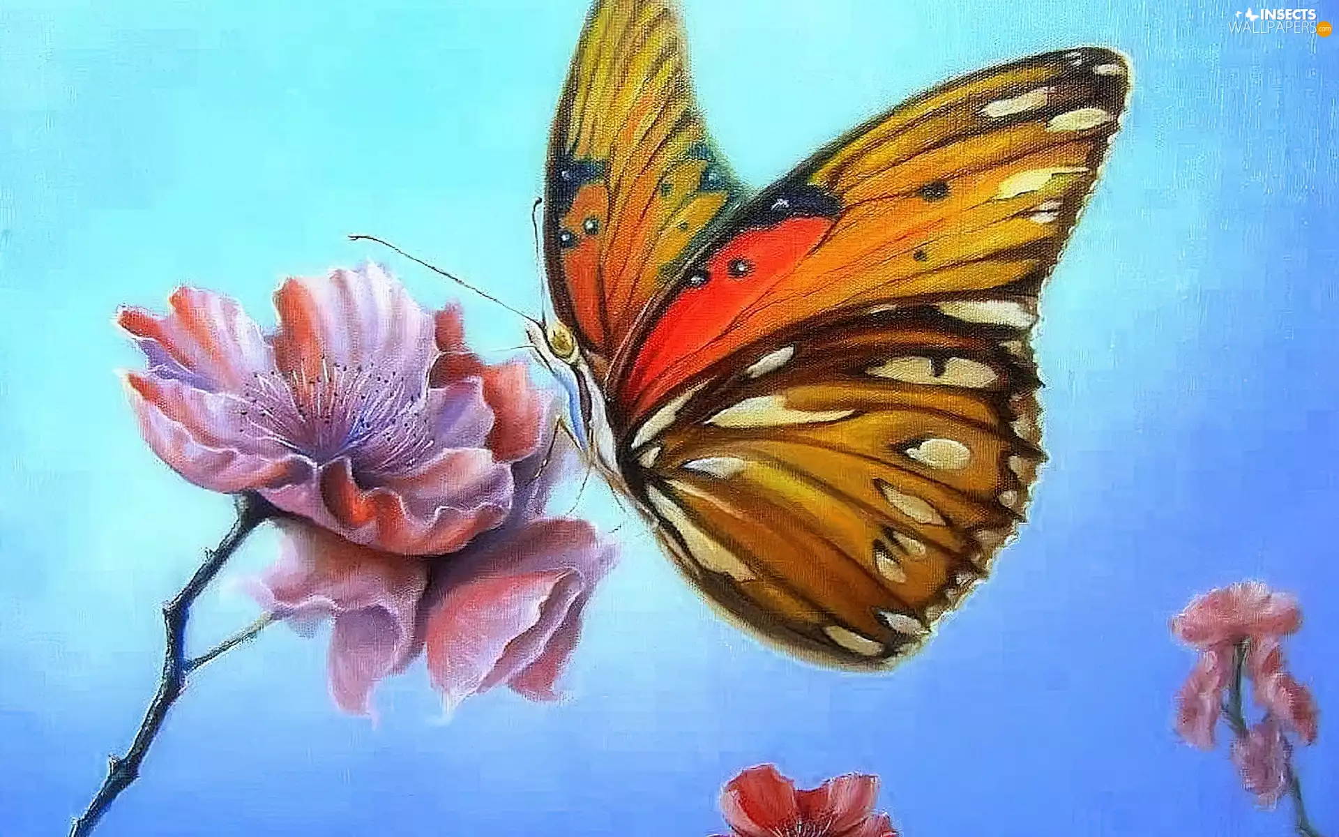 butterfly, Colourfull Flowers, picture, butterfly, painting