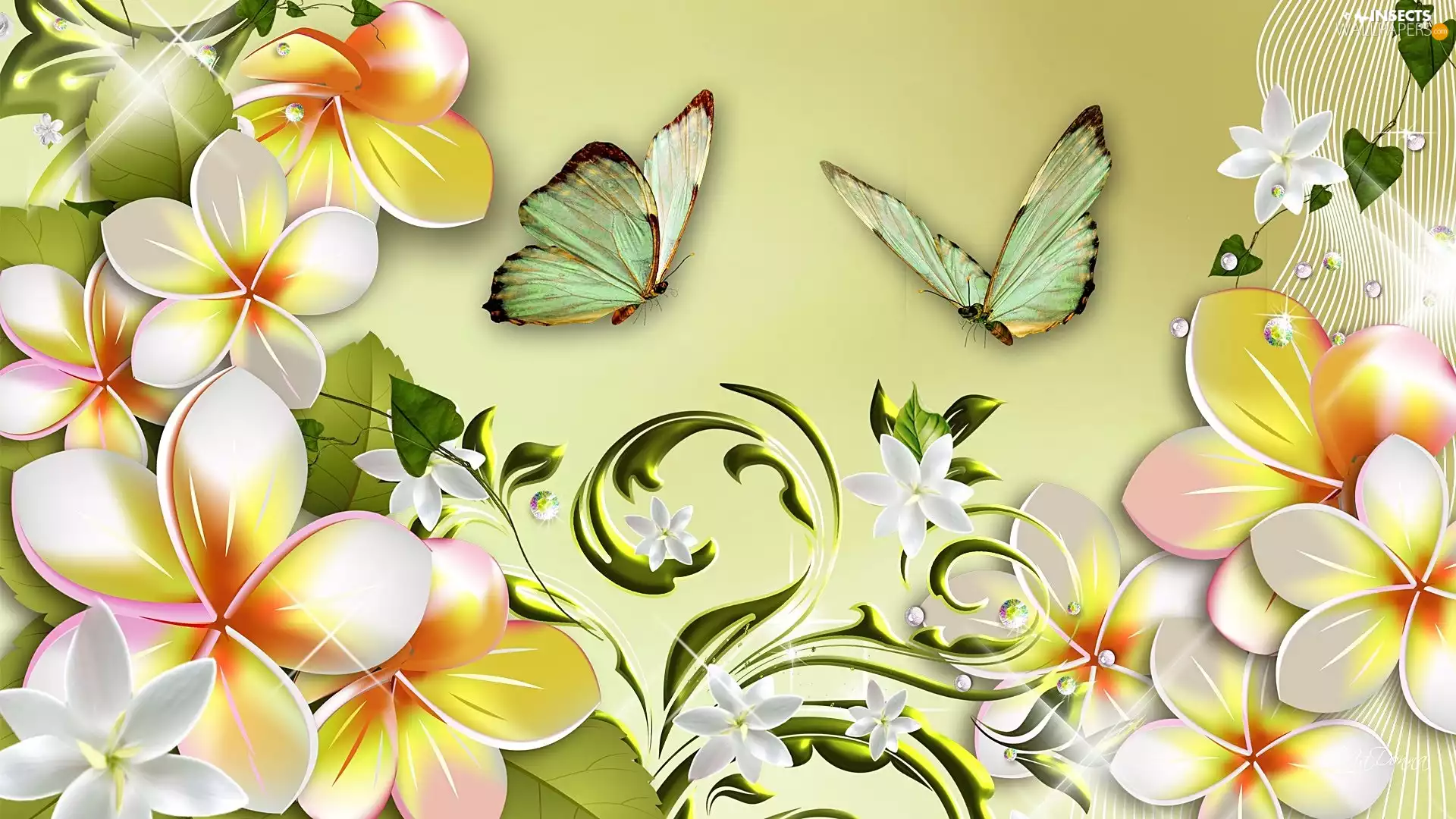 Flowers, butterflies, Art, Plumeria