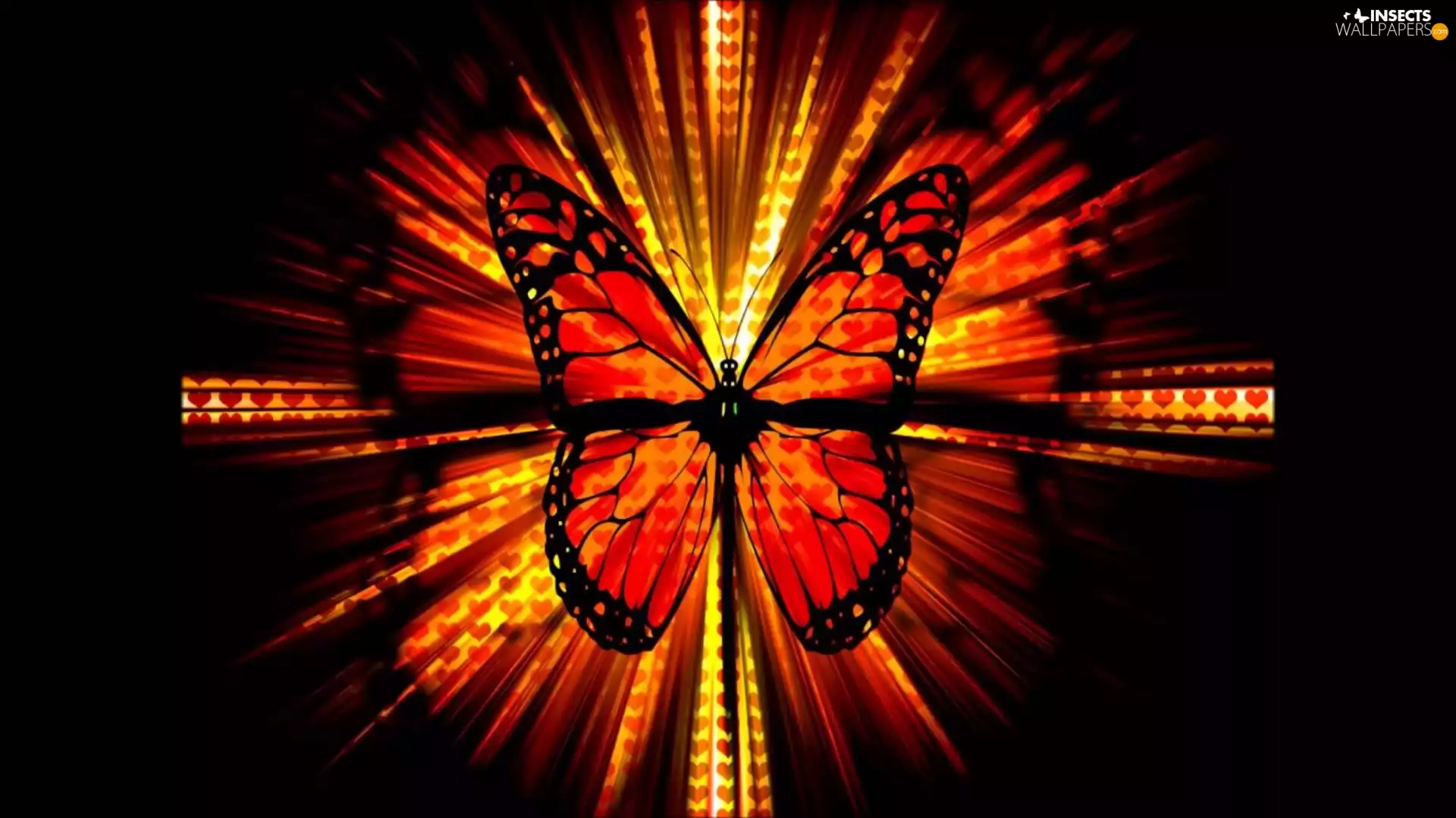 orange, butterfly, graphics, Red