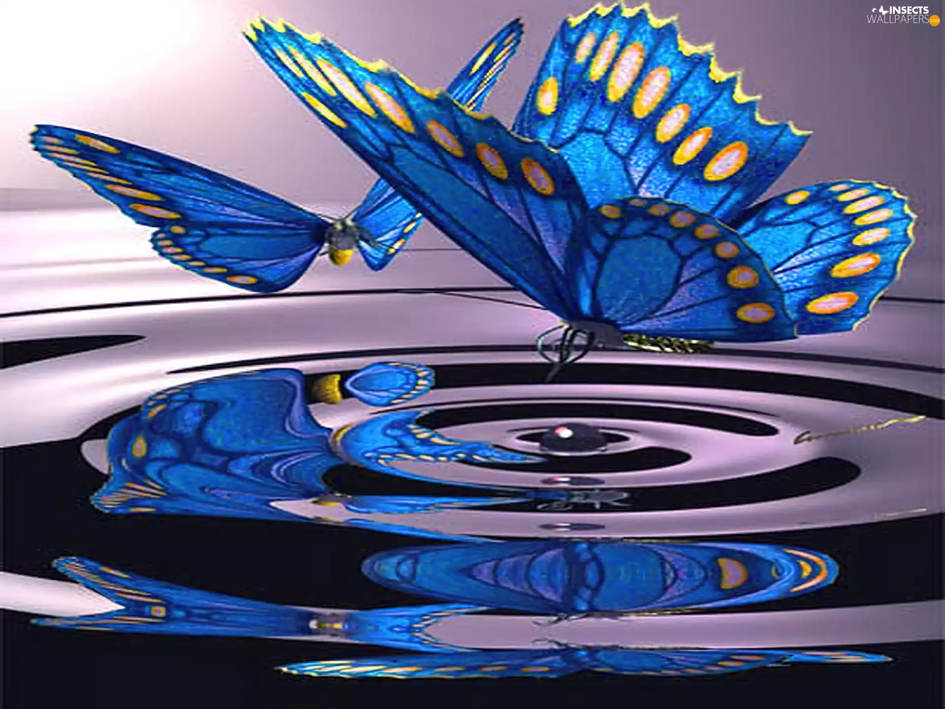 reflection, butterflies, water