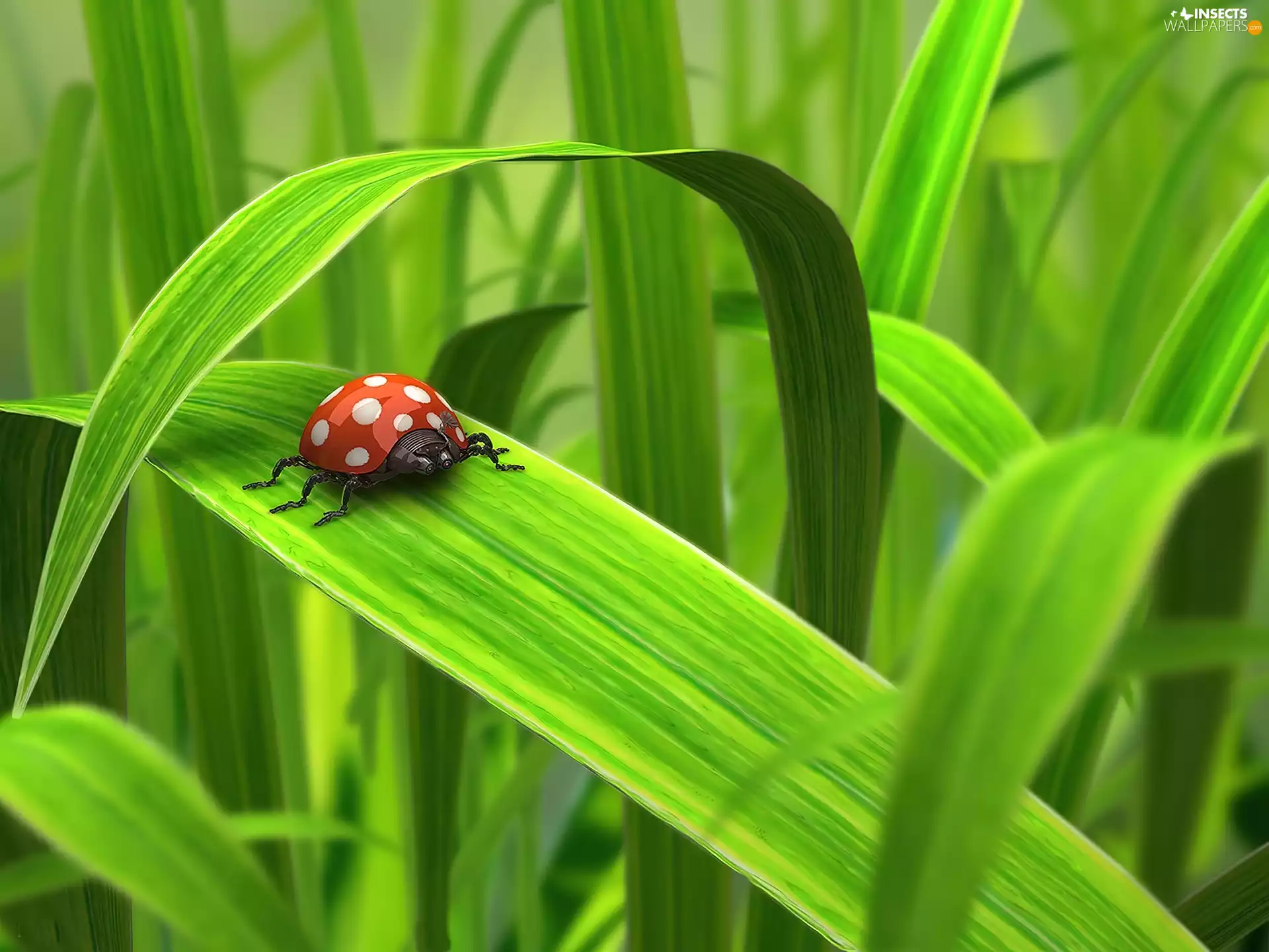 Robot, grass, ladybird