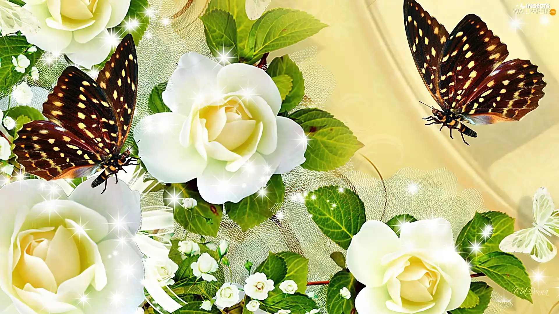White, butterflies, Art, roses
