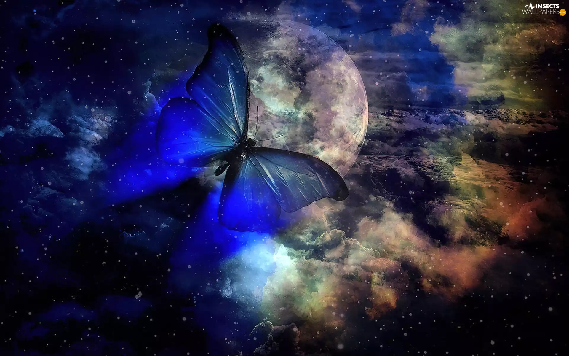 Sky, butterfly, moon