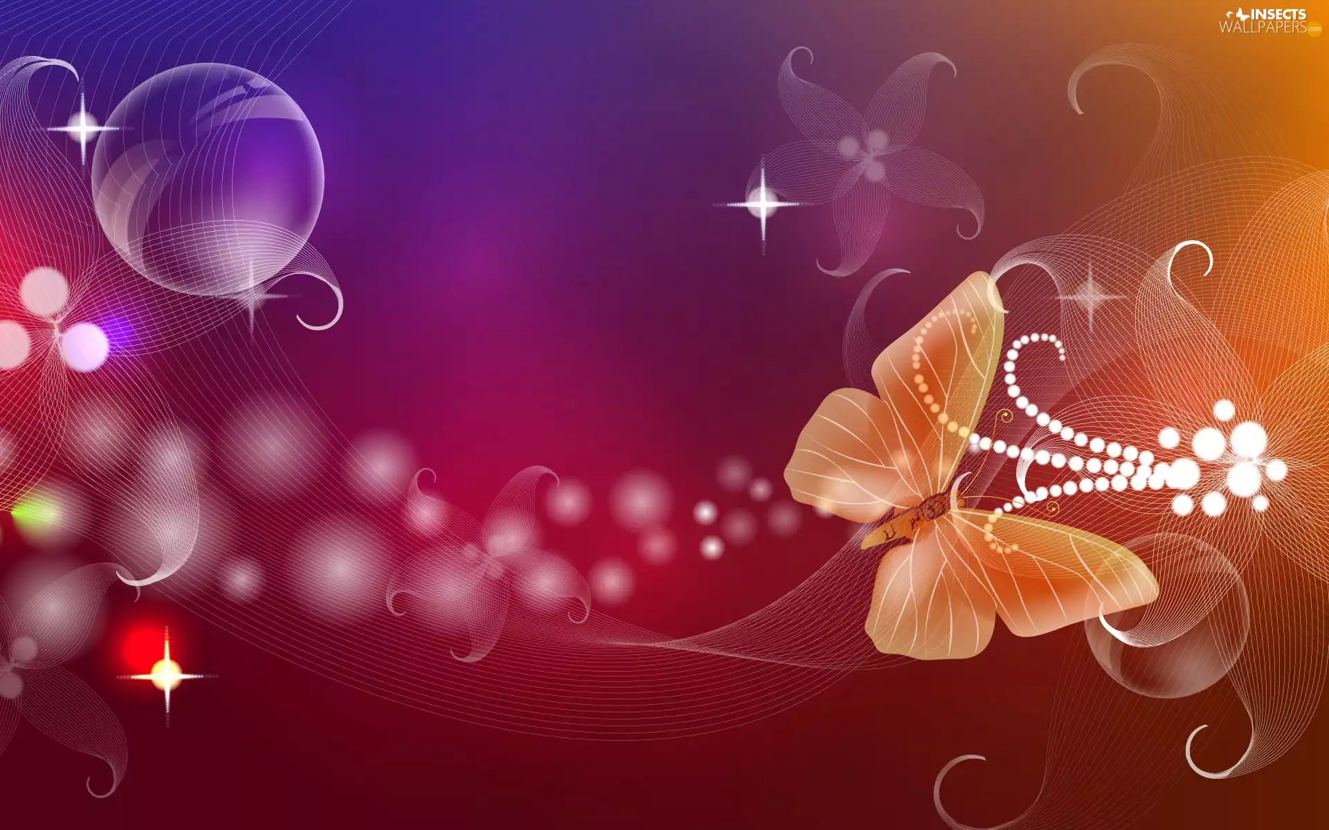 Stars, butterfly, patterns