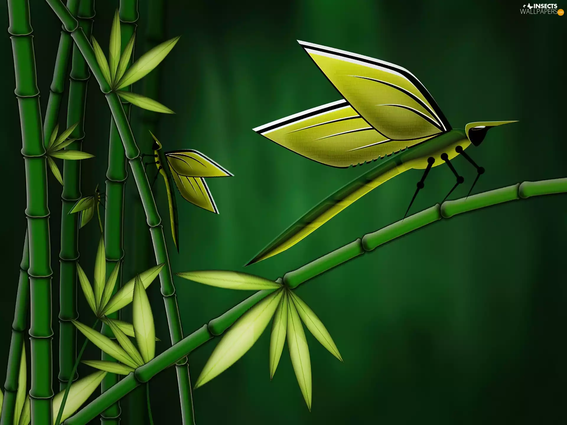 Leaf, dragon-fly, stems