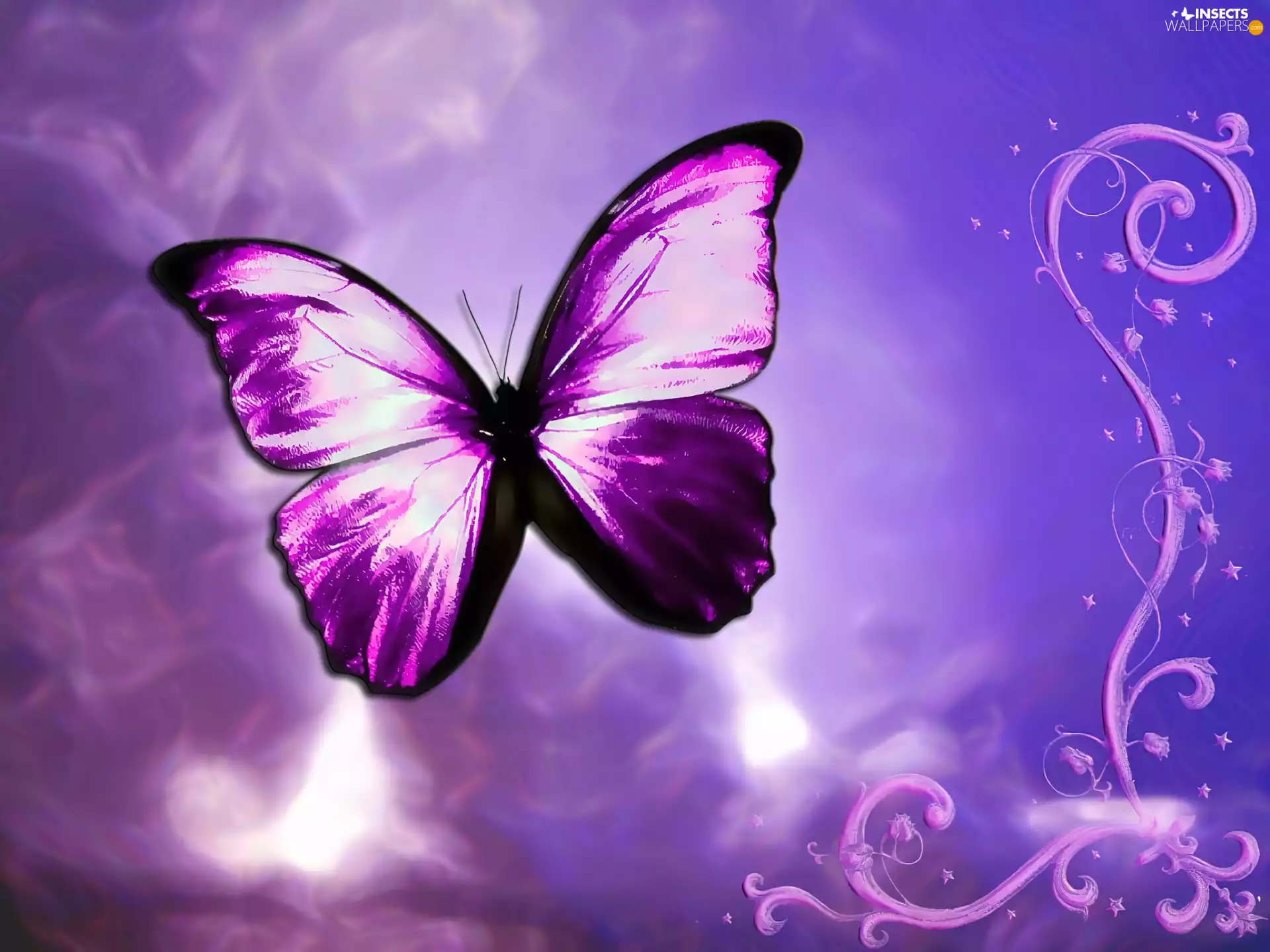 Stylists, Violet, butterfly