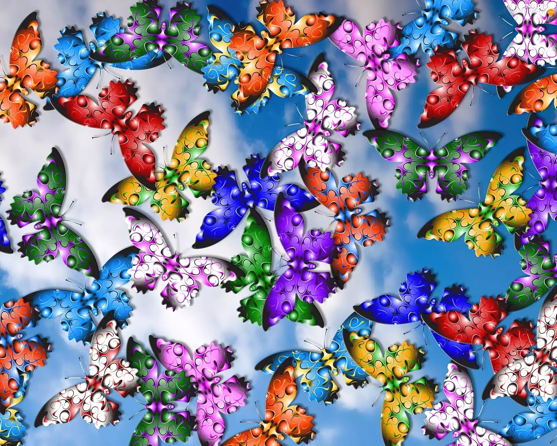 texture, color, butterflies