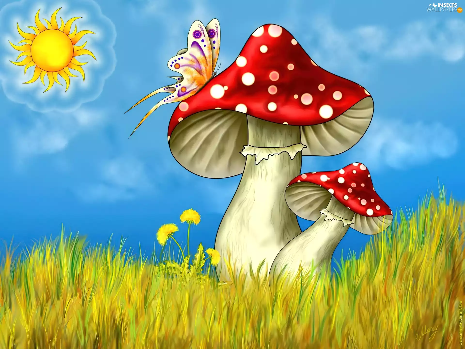 mushrooms, butterfly, sun, toadstools