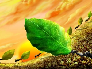 Art, ants, Leaf